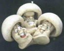magic mushroom Faq